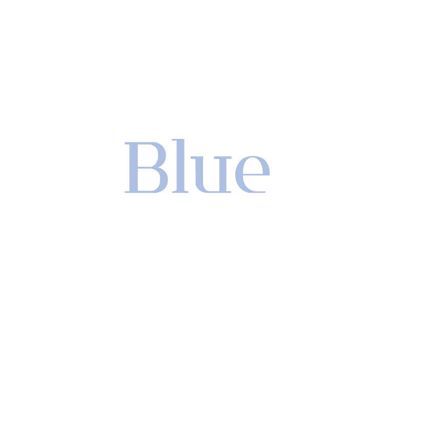 Blue Ocean Academy Liverpool